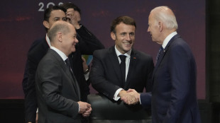 'Biden venerdì a Berlino, vedrà Scholz-Macron-Starmer'