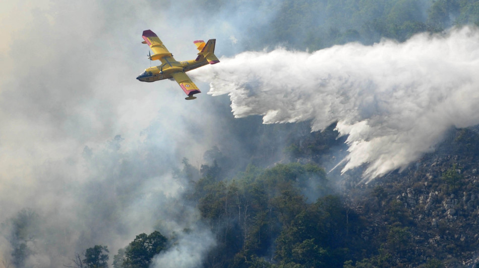 Incendi, 16 le richieste di intervento alla Protezione civile