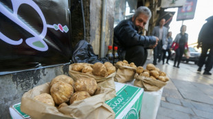 Ocho recolectores de trufas mueren en Siria por explosión de mina antipersona