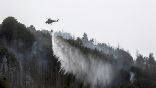 Feuerwehr kämpft in Sächsischer Schweiz weiter gegen Waldbrand