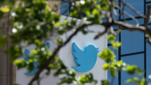 Twitter challenges Indian orders to block content: reports