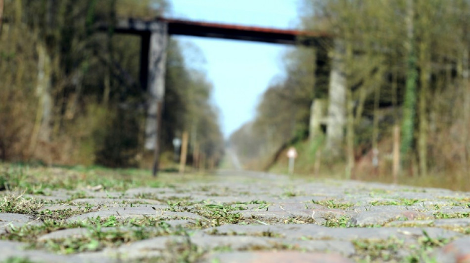 Paris-Roubaix: recherche brebis pour la Trouée d'Arenberg

 