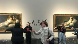Activists glue hands to Goya frames at Prado: Spanish police