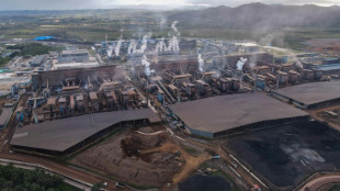 Indonesia proposes nickel producer bloc at Canada G20 talks