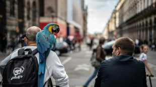 Paris sans voitures: sept heures pour "montrer qu'on peut faire autrement"