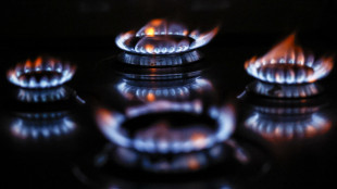 Il gas chiude in forte rialzo ad Amsterdam (+3,1%)