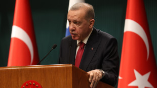 Erdogan, 'Israele è un'organizzazione terroristica sionista'