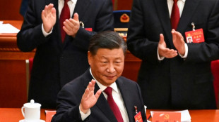 Xi hails China's rise, demands unity at Congress