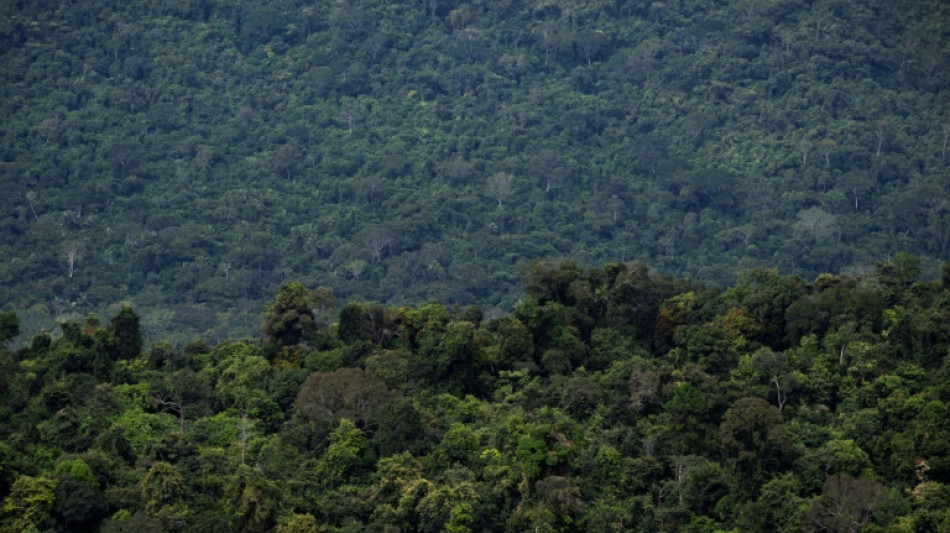 Diputados brasileños aprueban proyecto que limita demarcación de tierras indígenas