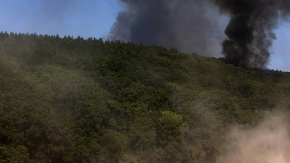 Agricultura insustentável e consumo excessivo deixam a natureza em perigo, alerta ONU