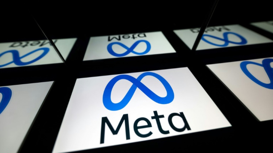 Meta subscriber plan risks digital divide, say critics