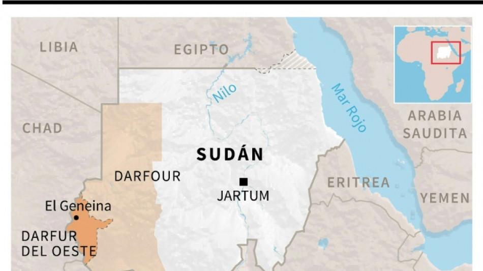 Entre 10.000 y 15.000 muertos en una ciudad de Darfur, según expertos de la ONU