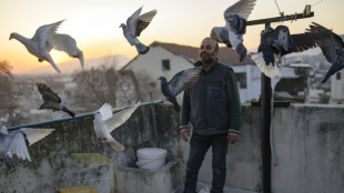 Bird man in Turkey vows to tend to flock after quake