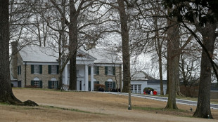 Judge blocks auction of Elvis estate Graceland