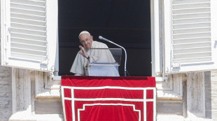 Schlein, le parole del Papa sui gay? Sbagliate