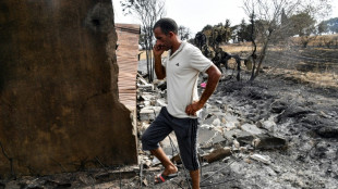 Los incendios que dejaron 38 muertos en Argelia están "controlados", según defensa civil