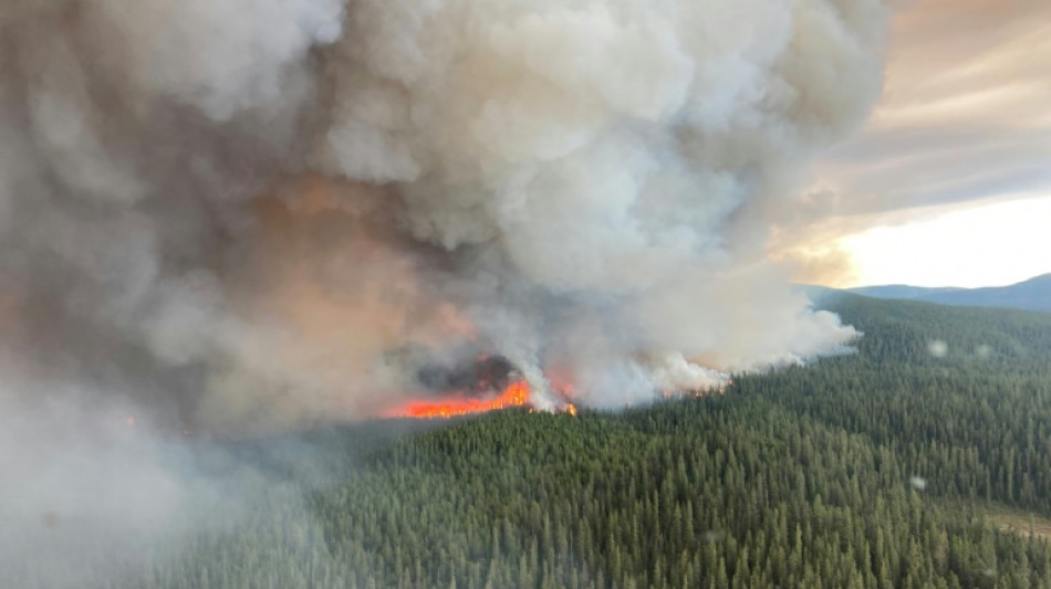 Helicopter pilot dies fighting Canadian wildfires