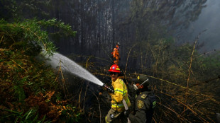 Colombia en alerta por una veintena de incendios forestales en medio de un récord de calor