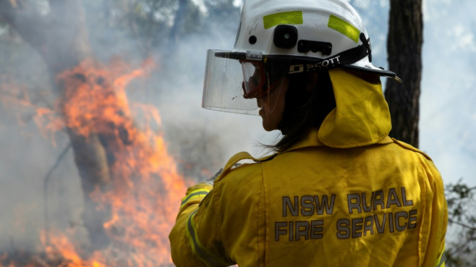 "Schockierendes" Ausmaß: Verheerende Waldbrände im Osten Australiens