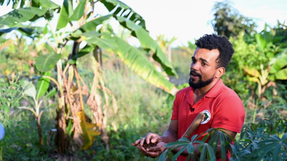 La pugna del Movimiento sin Tierra con el agronegocio en el Brasil de Lula