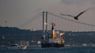 Zarpan de Ucrania otros dos barcos con cereales