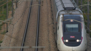 Après l'A69, des écologistes s'opposent dans les arbres à la LGV Bordeaux-Toulouse