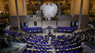 Bundestag berät am Donnerstag über AfD-Verbotsantrag