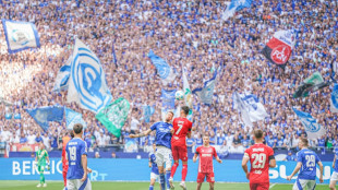 Überzeugender Sieg auf Schalke: Köln nimmt Fahrt auf