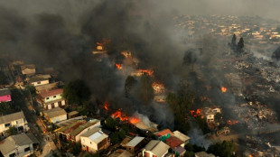 Presidente confirma 46 mortos por incêndios florestais no Chile e teme mais vítimas