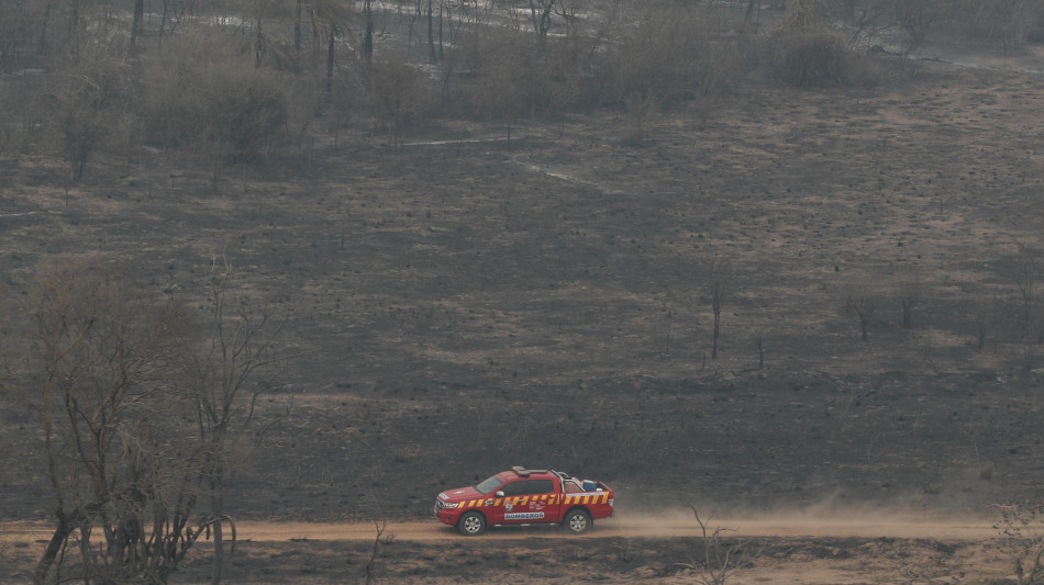 Incendi in Paraguay, bruciati 190mila ettari di foresta