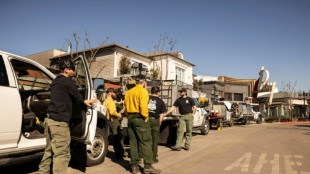 Private firefighters highlight wealth divide in ruined Los Angeles