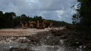 Juez suspende indefinidamente construcción de un tramo del "Tren Maya" en México