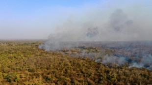 Incendios forestales en Bolivia han alcanzado este año a casi 300.000 hectáreas