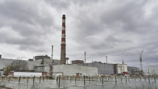 La central nuclear ucraniana de Zaporiyia, desconectada de la red eléctrica