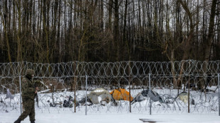 Visite de médias strictement surveillée à la frontière polono-bélarusse