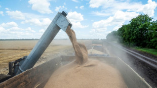 La compleja operación para sacar los cereales de Ucrania