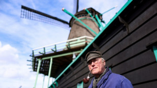 Dutch windmill offers last link to paint made in Vermeer's day