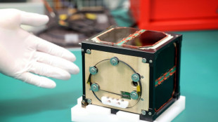 Cientistas japoneses constroem o primeiro satélite de madeira do mundo