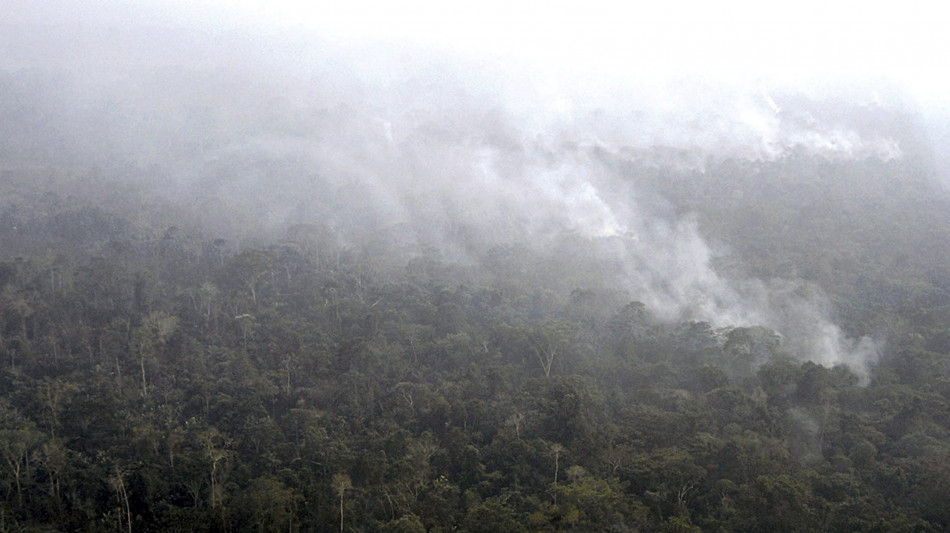 Il Brasile quinto paese al mondo per inquinamento dell'aria