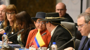 Mercosul inicia reuniões com Bolívia como membro pleno e sem Milei
