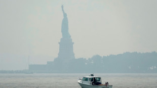 Französischer Europaabgeordneter fordert von USA Rückgabe der Freiheitsstatue