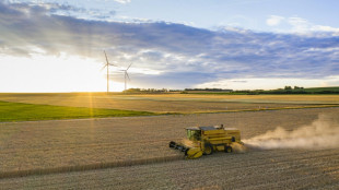 Les silos à grains sous haute surveillance face au réchauffement climatique