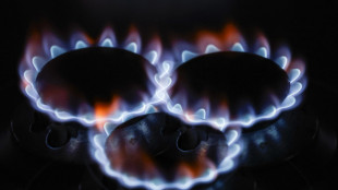 Il gas chiude in forte rialzo (+1,9%) ad Amsterdam