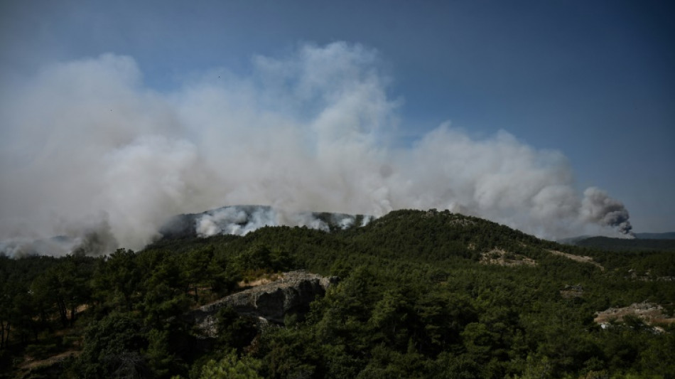 Grecia enfrenta el "incendio más grande del que se tenga registro en la UE"