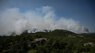 Grecia enfrenta el "incendio más grande del que se tenga registro en la UE"