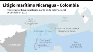 La máxima corte de la ONU se pronuncia sobre litigio territorial entre Colombia y Nicaragua