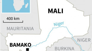 Mali trial of I.Coast soldiers wraps up as deadline looms in row