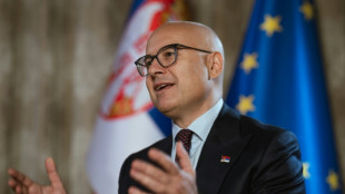 Serbia, dispuesta a lograr "compromisos" con Kosovo, dice su primer ministro a la AFP