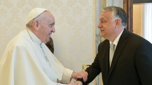 Pope to visit Hungary, meet Orban in April