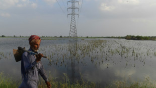 "Retrocedimos 50 años", lamentan agricultores de Pakistán tras inundaciones 